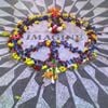 Ashley Addison-Black's profile picture
