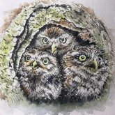 Tricia Chatterton's profile picture