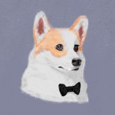 Danta Hibou's profile picture