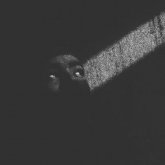 Photo de profil de Manseerat Gill