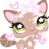 Catalina Rubilar's profile picture