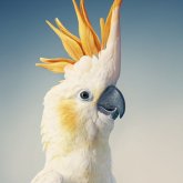 Photo de profil de Mariah Henk
