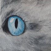 Carmen M's profile picture