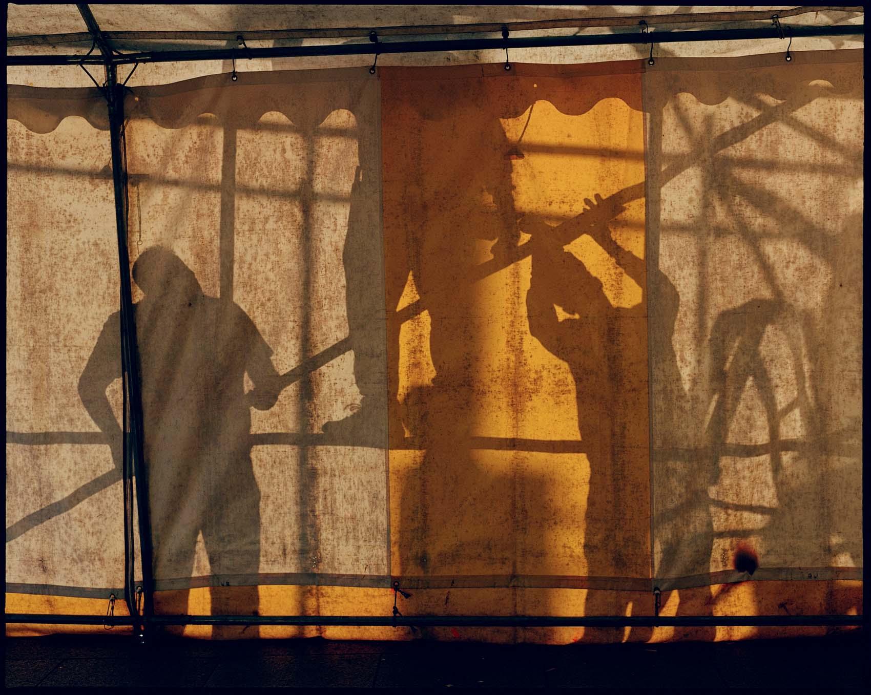 عکس عکاس سهی هولیت