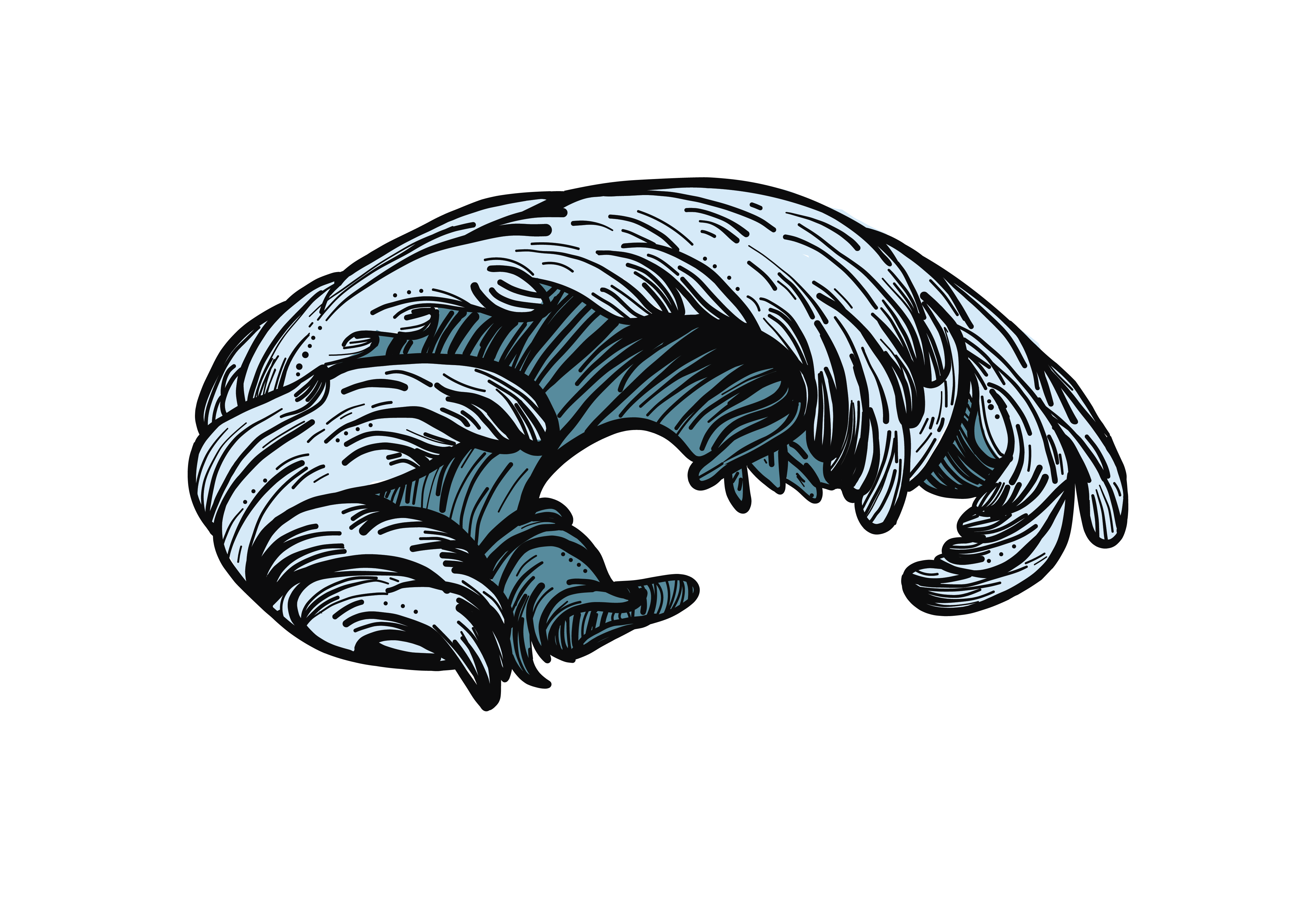 کار با Procreate