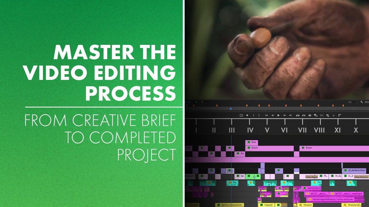 Master the Video Editing Process: From Creative Brief to Finished Project