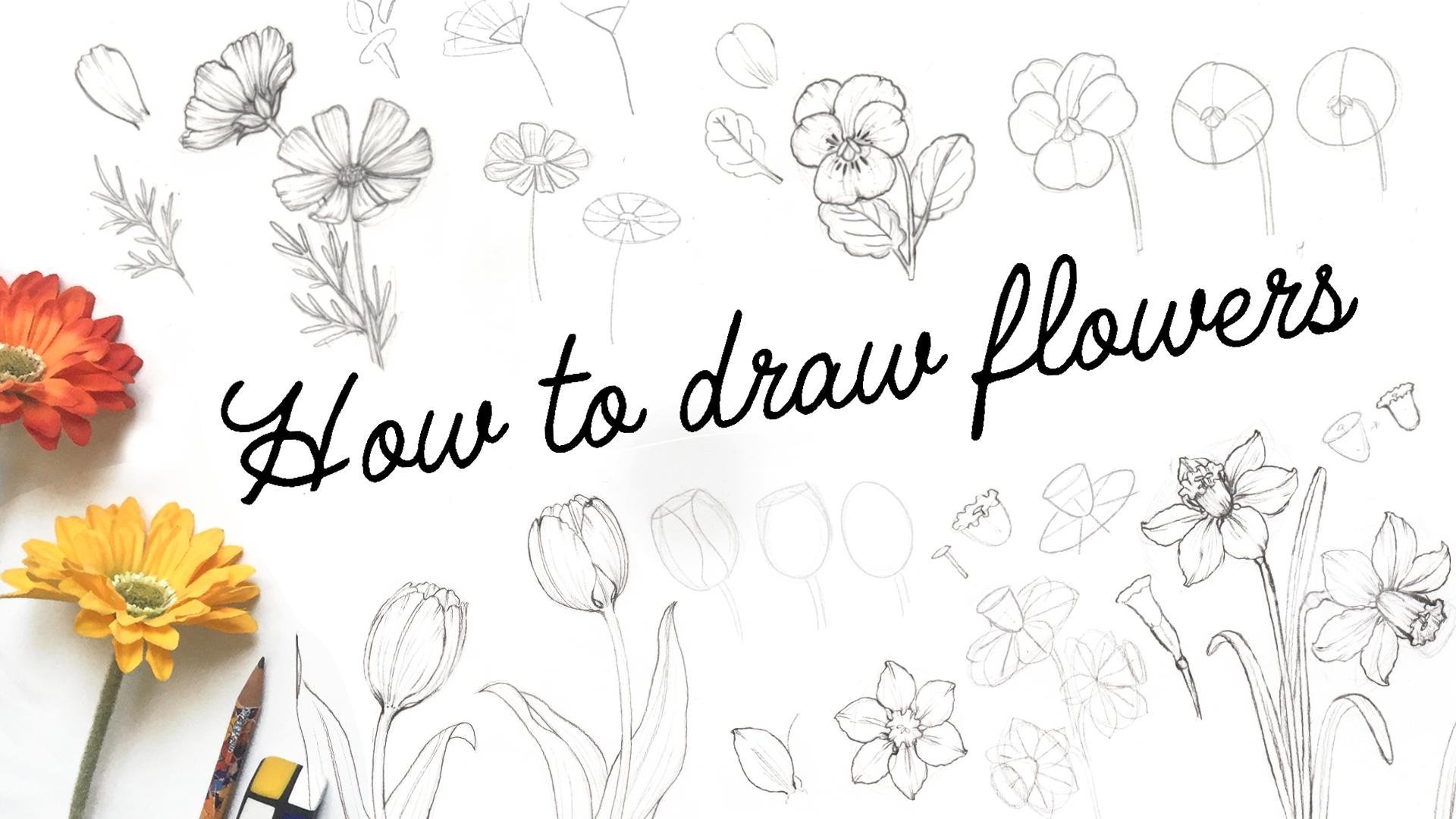 cool drawings of flowers that are easy