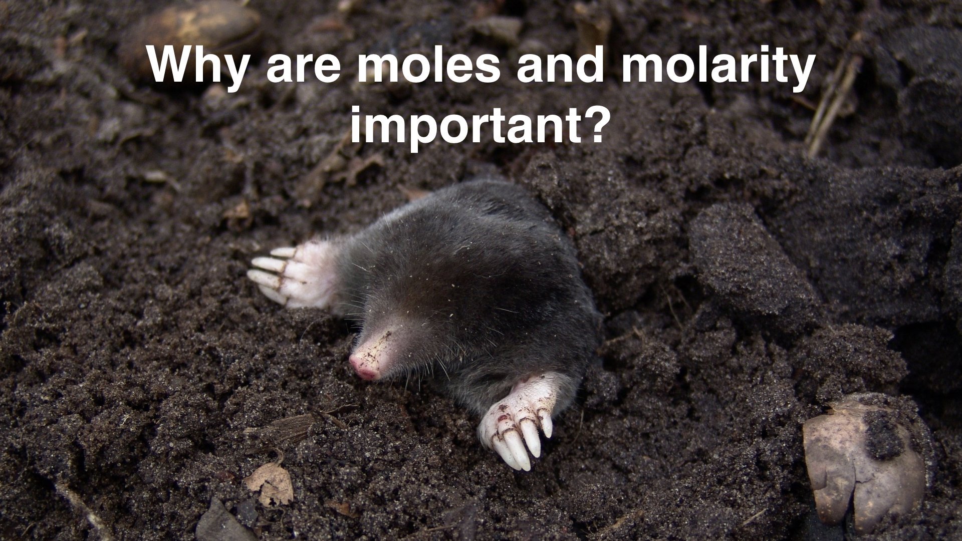 Moles and Molarity | Nick Maths | Skillshare