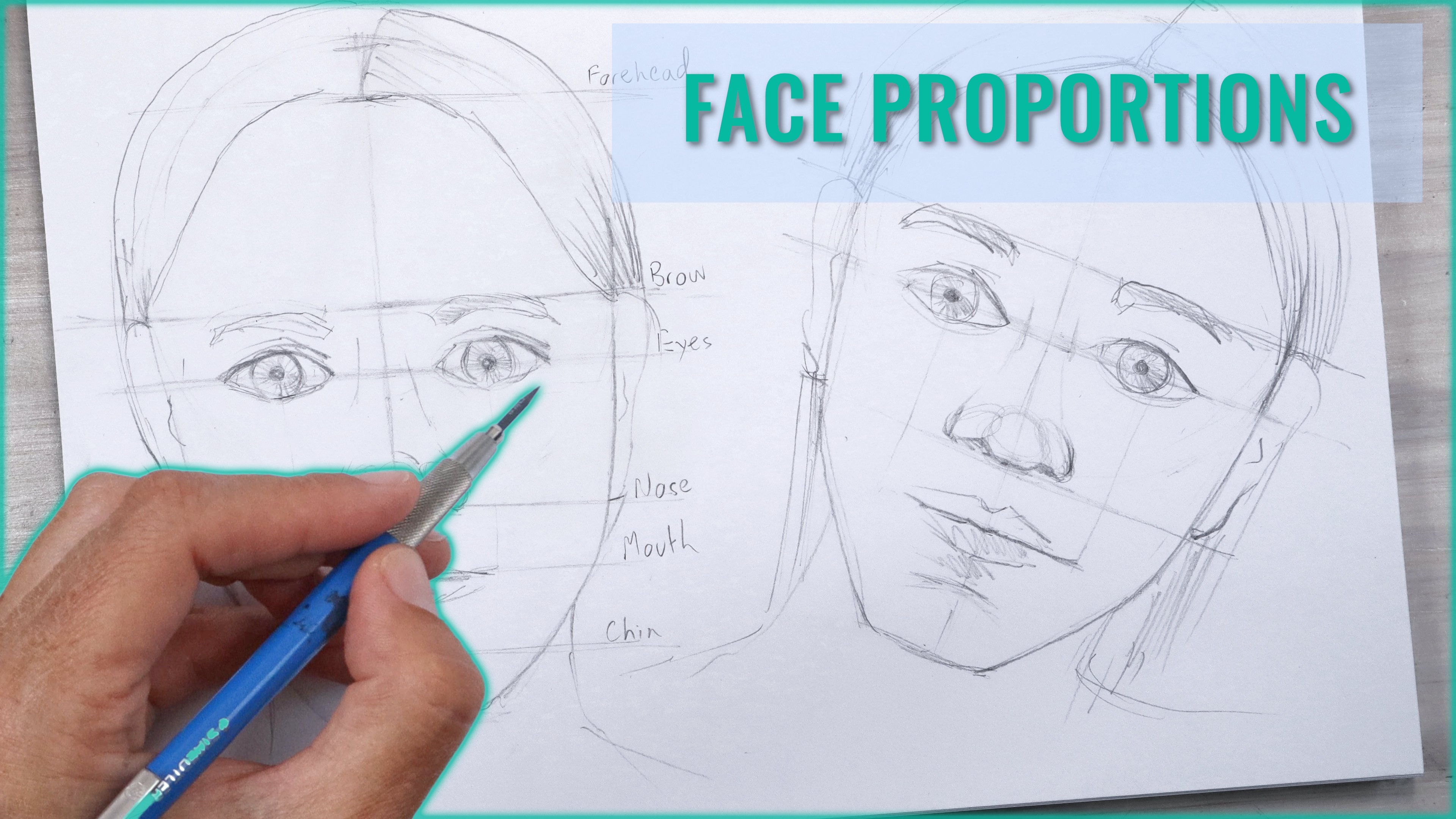 drawing head proportions