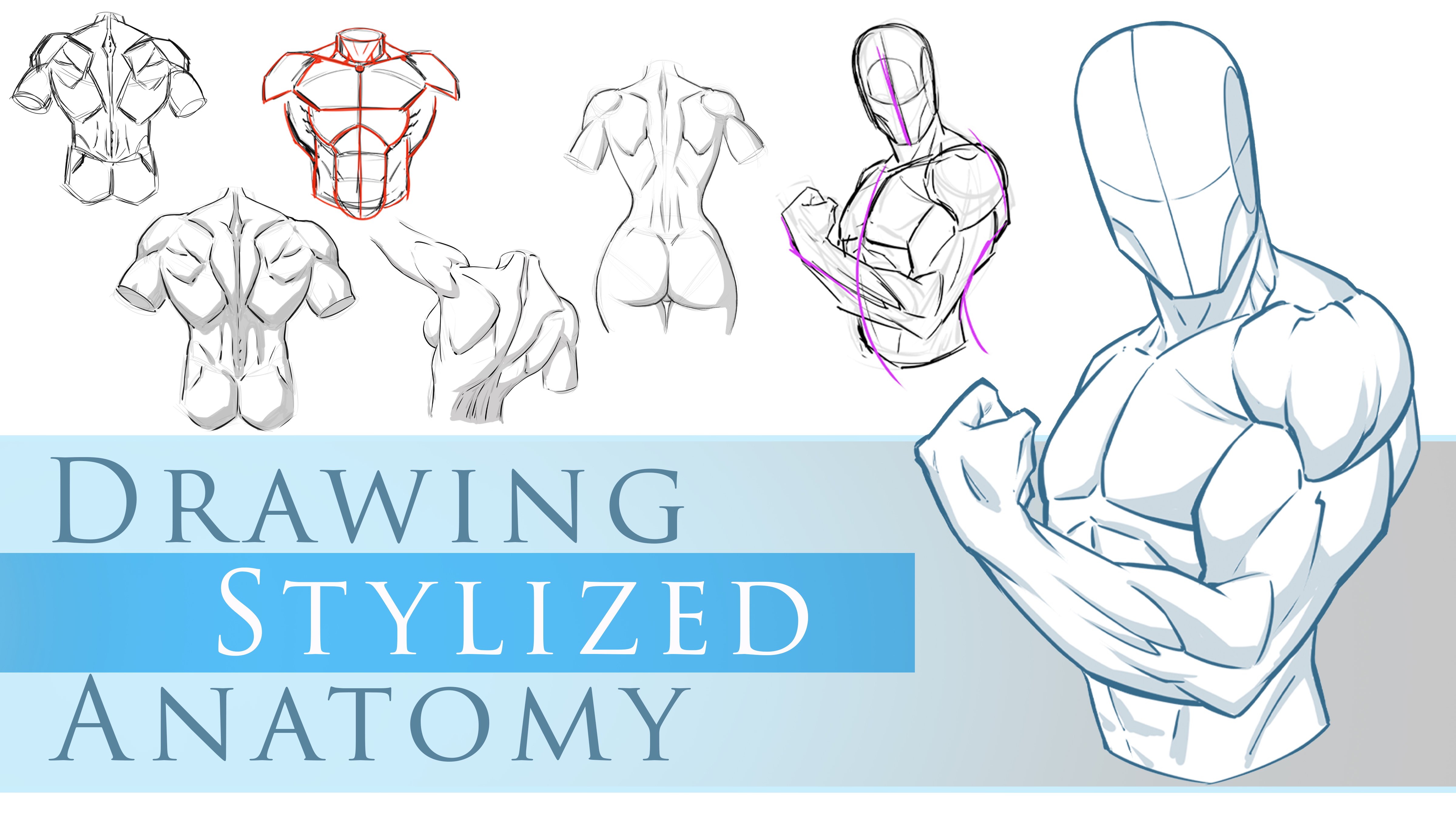 How to Draw Stylized Poses and Anatomy - Breaking Down the Basic