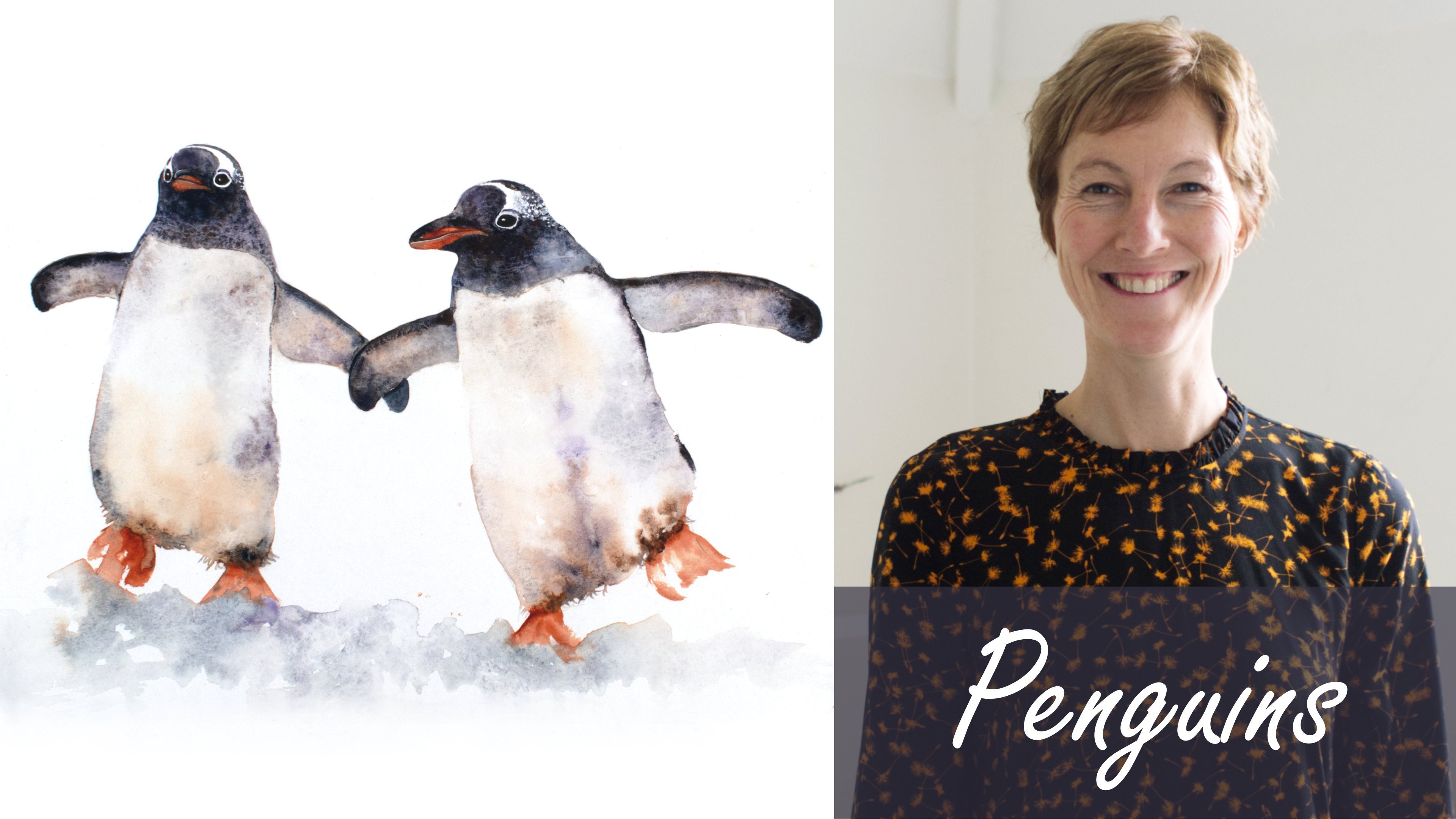 SOS Pinguim (3+) – ambar