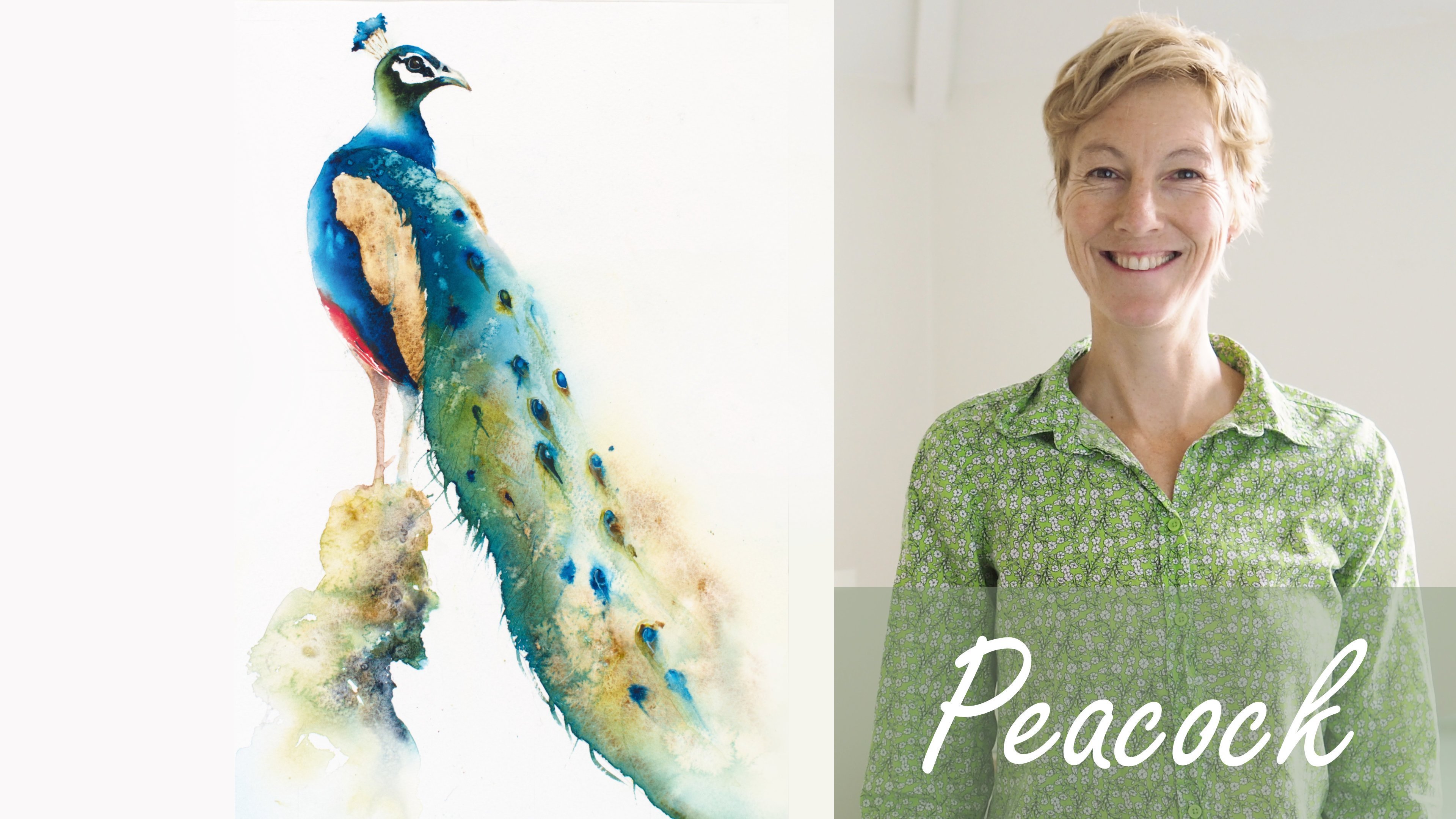 Three Feathers. An Easy All-Level Watercolour Class with Jane Davies, Jane  Davies