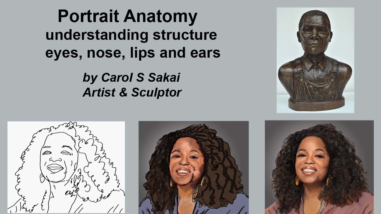 Anatomie de portrait - Structure comprise - yeux, nez, lèvres et ...