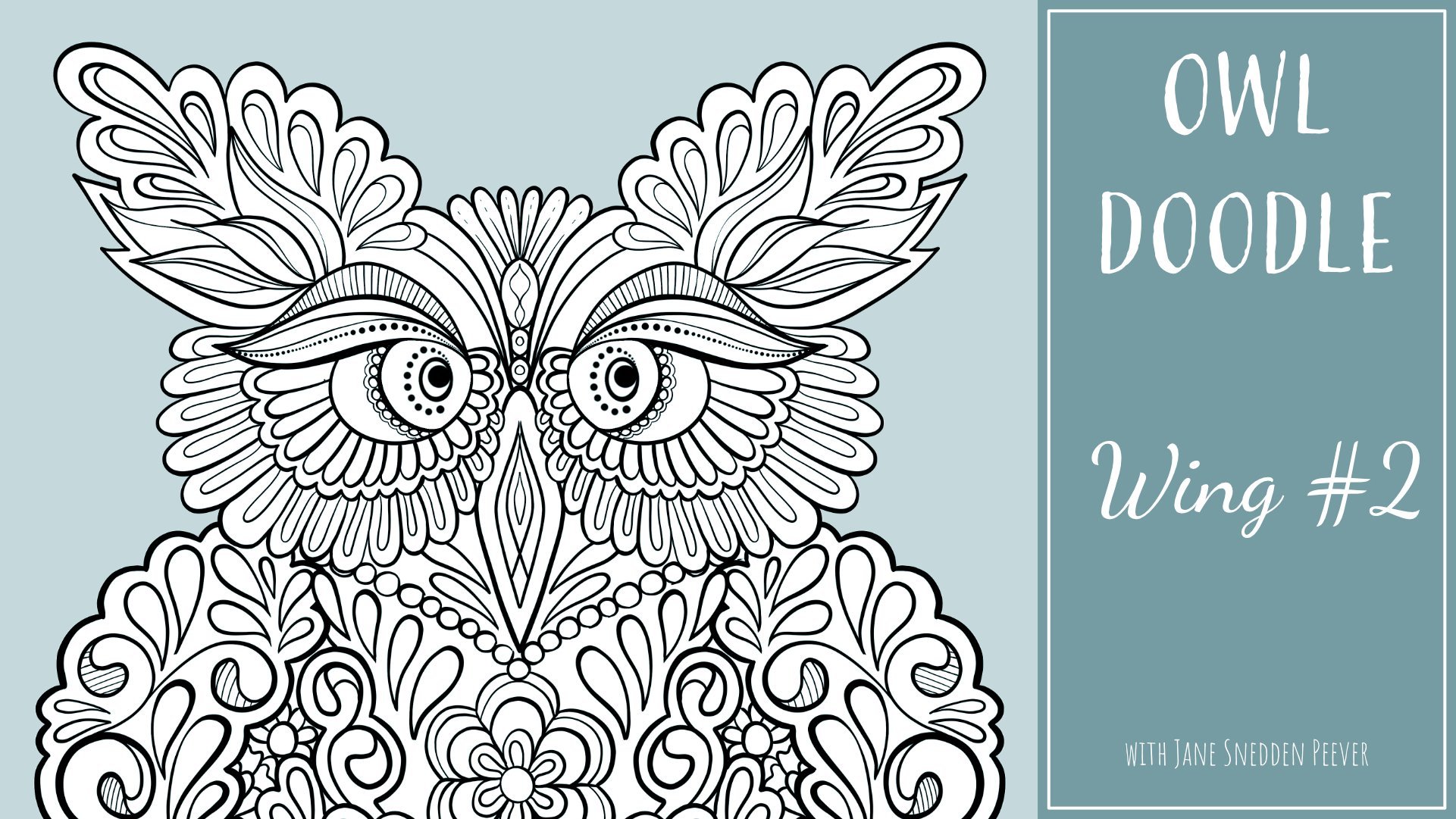 Búho Anteojos (Pulsatrix perspicillata) es un gran búho tropical nativo de  los neotrópicos. Es un criador residente en bosques desde el sur de México  y Trinidad, a través de América Central, hasta, image size:1921x1081