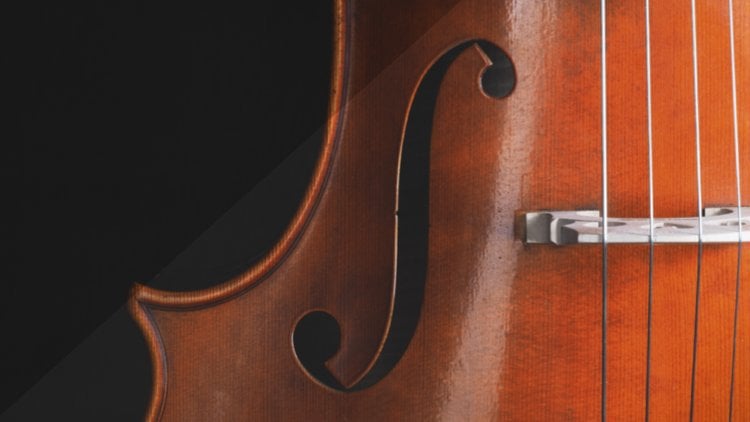 Comment choisir la sourdine d'un violon ?