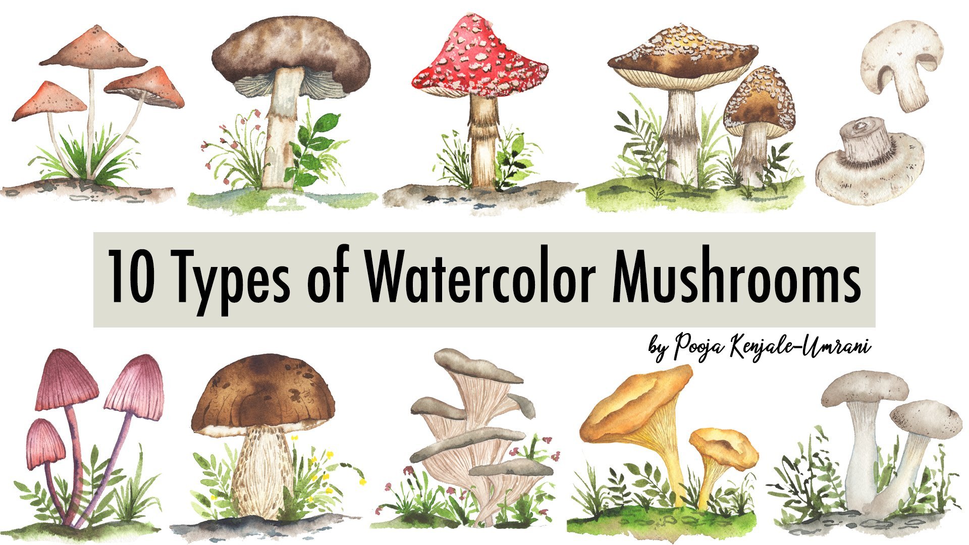 How to Draw Mushrooms – Emily Drawing