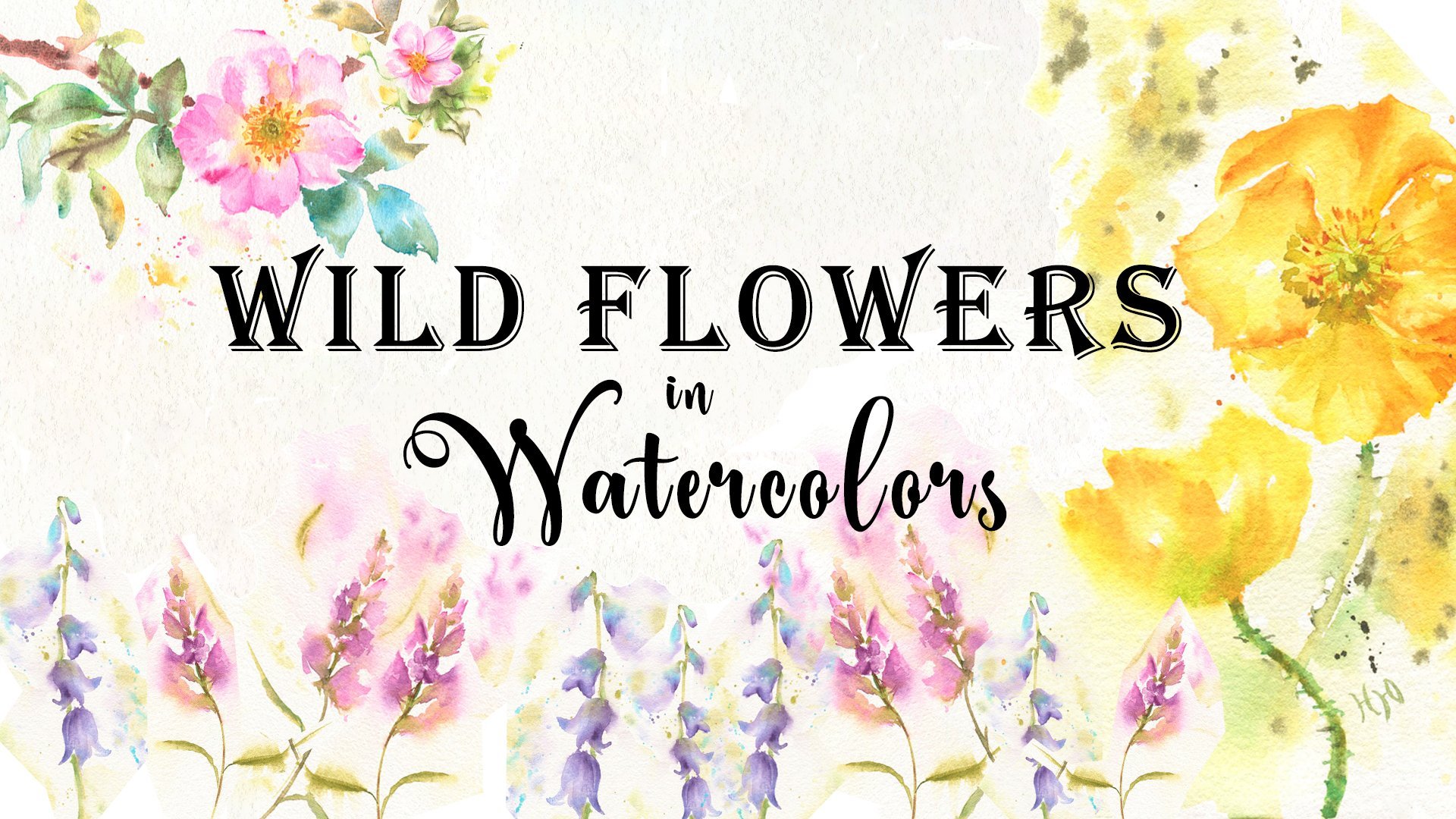 North American Wildflowers, Watercolor Clipart, Flowers of North