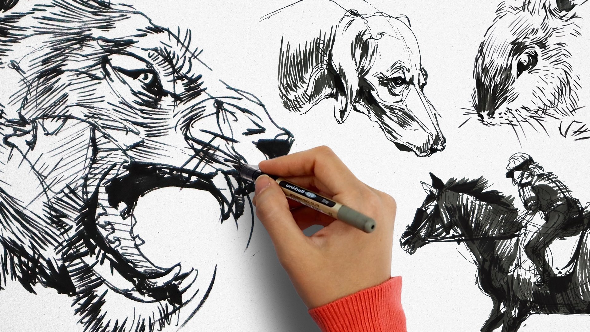 Majestic Animal Doodle Illustrations : pen doodle