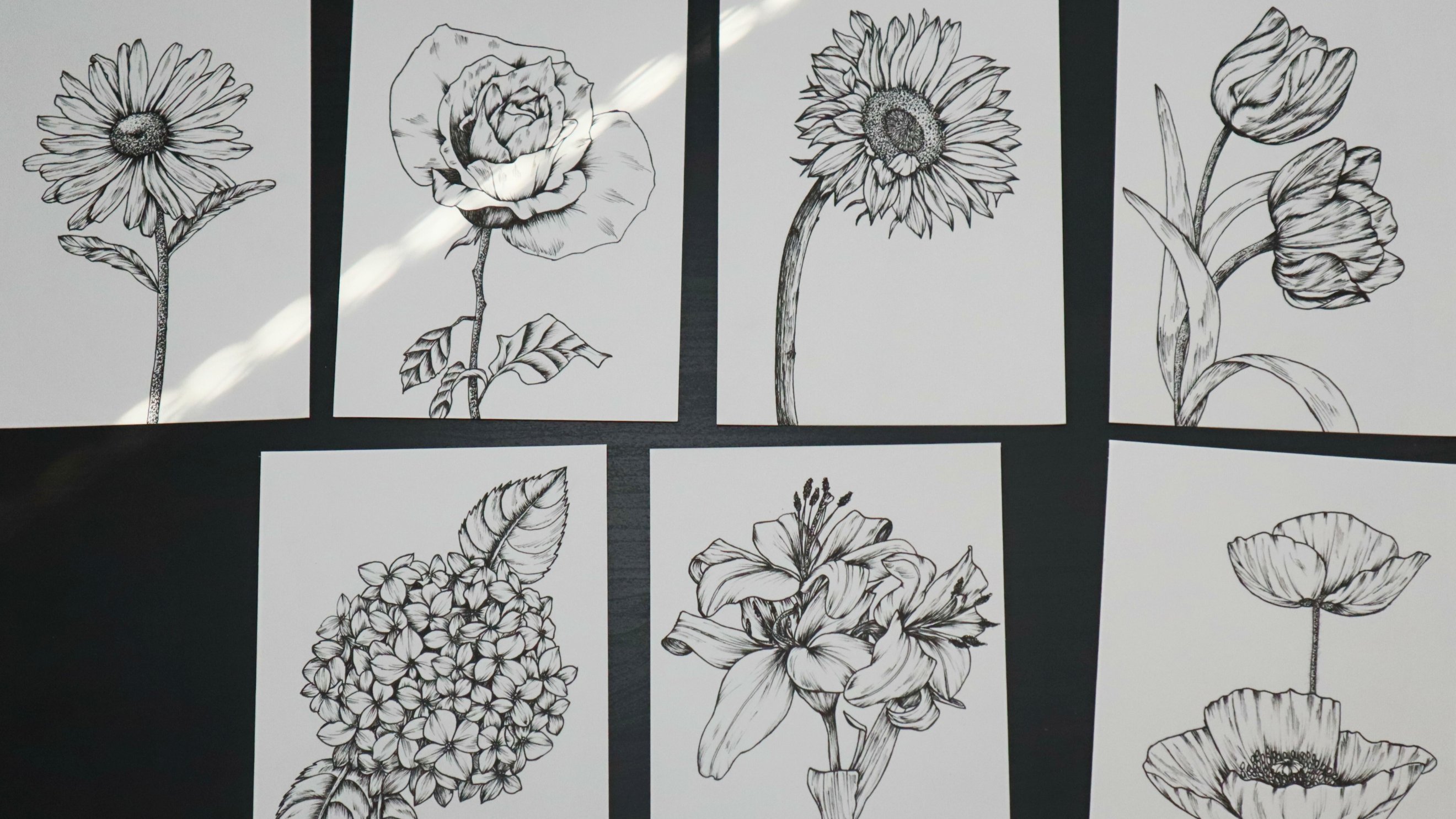 Comment dessiner une fleur - Apprends à dessiner des fleurs