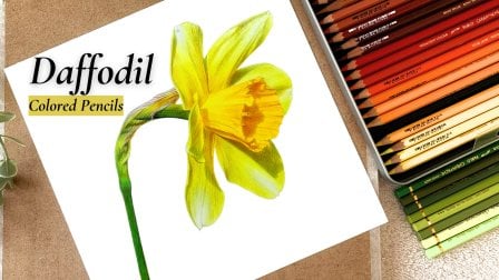 Cómo dibujar una flor de narciso realista con lápices de colores