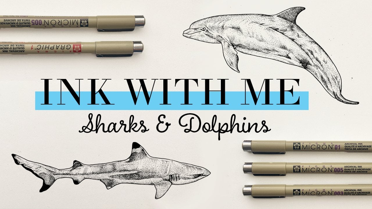 Dolphins In-Depth Colored Pencil Project Kit