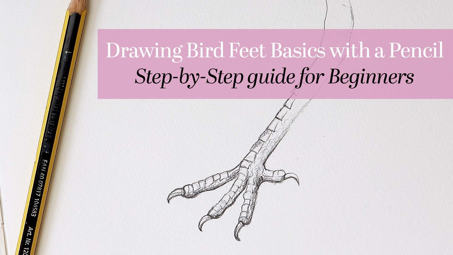 How To Draw BASICS  Understanding the Pencil 