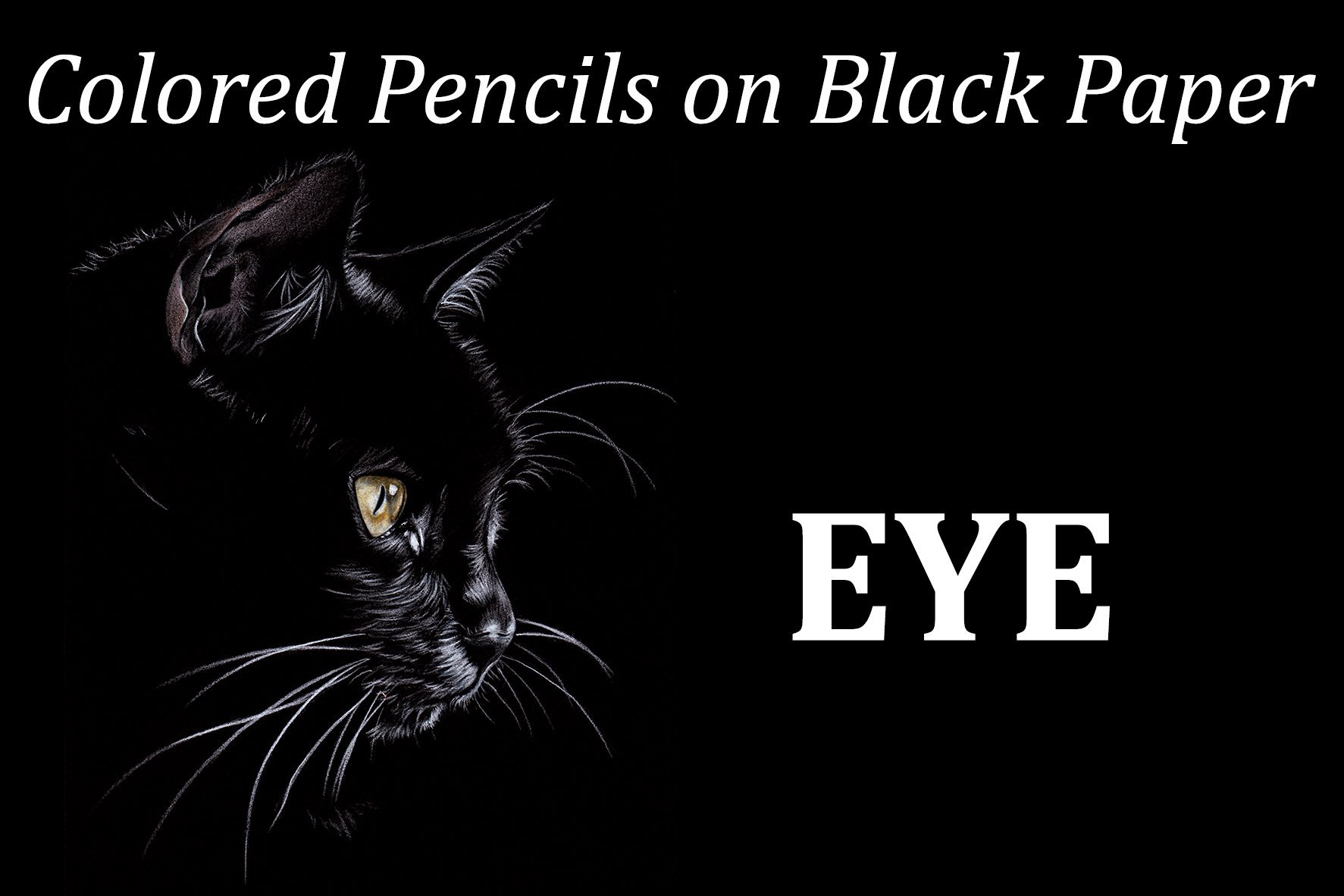 Farbstifte auf schwarzem Papier 4: SCHWARZES KATZEN-PORTRAIT | Sandrine  Curtiss | Skillshare, image size:1773x1182