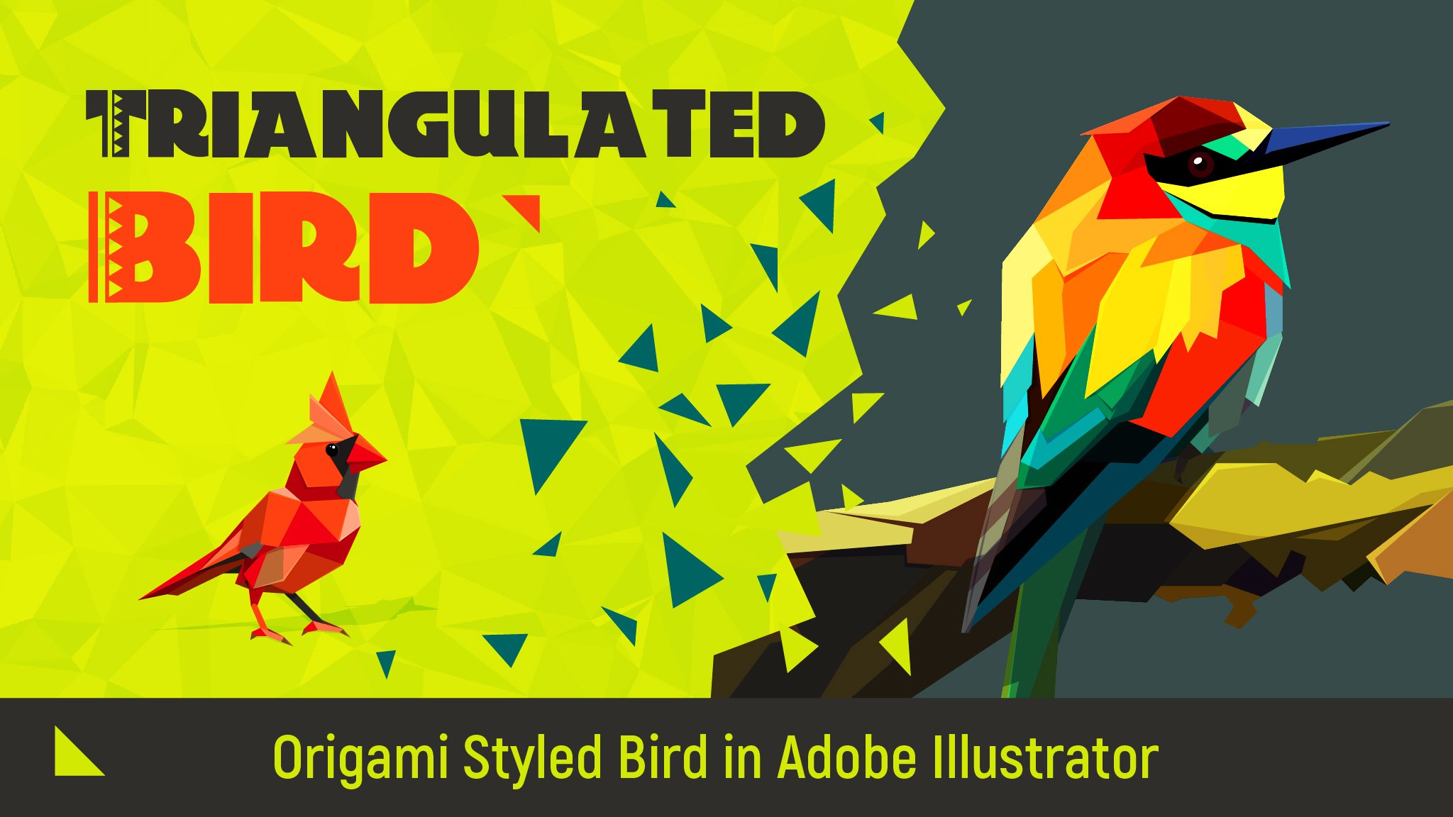 Bird Adobe Illustrator , Creating a Realistic 3D Bird in Adobe ...