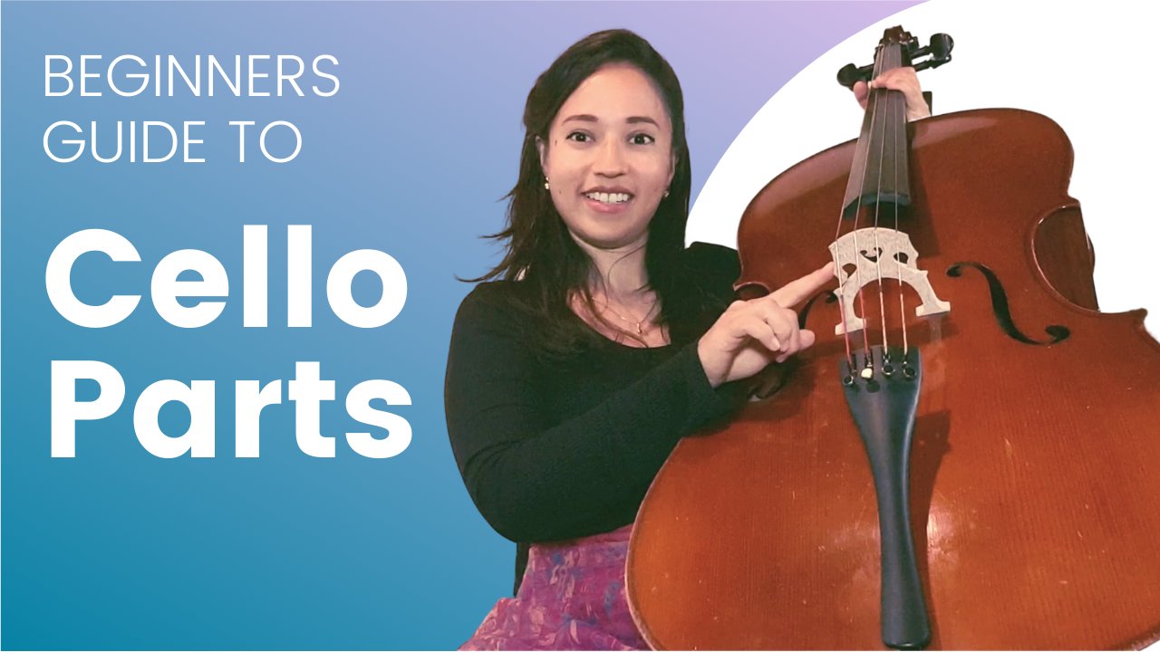 A Basic Beginner Guide to Really Know the Cello Parts, Functionality