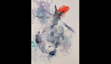 Projekt-Kurs