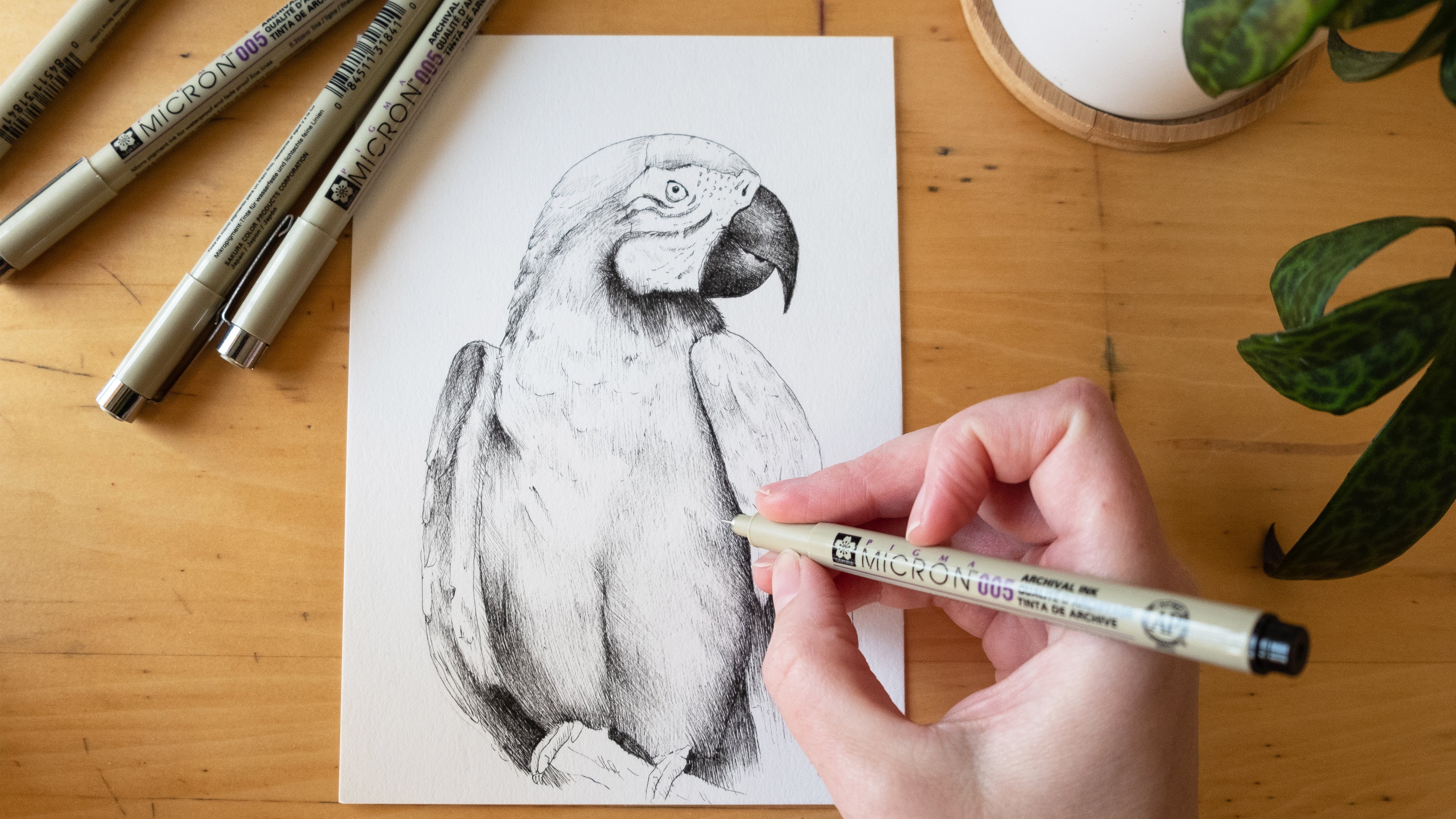 Pen Drawing for Beginners: Permanency, Texture and Composition