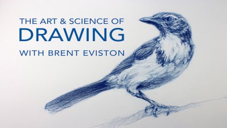 Sketching Tutorials And Classes Online Skillshare