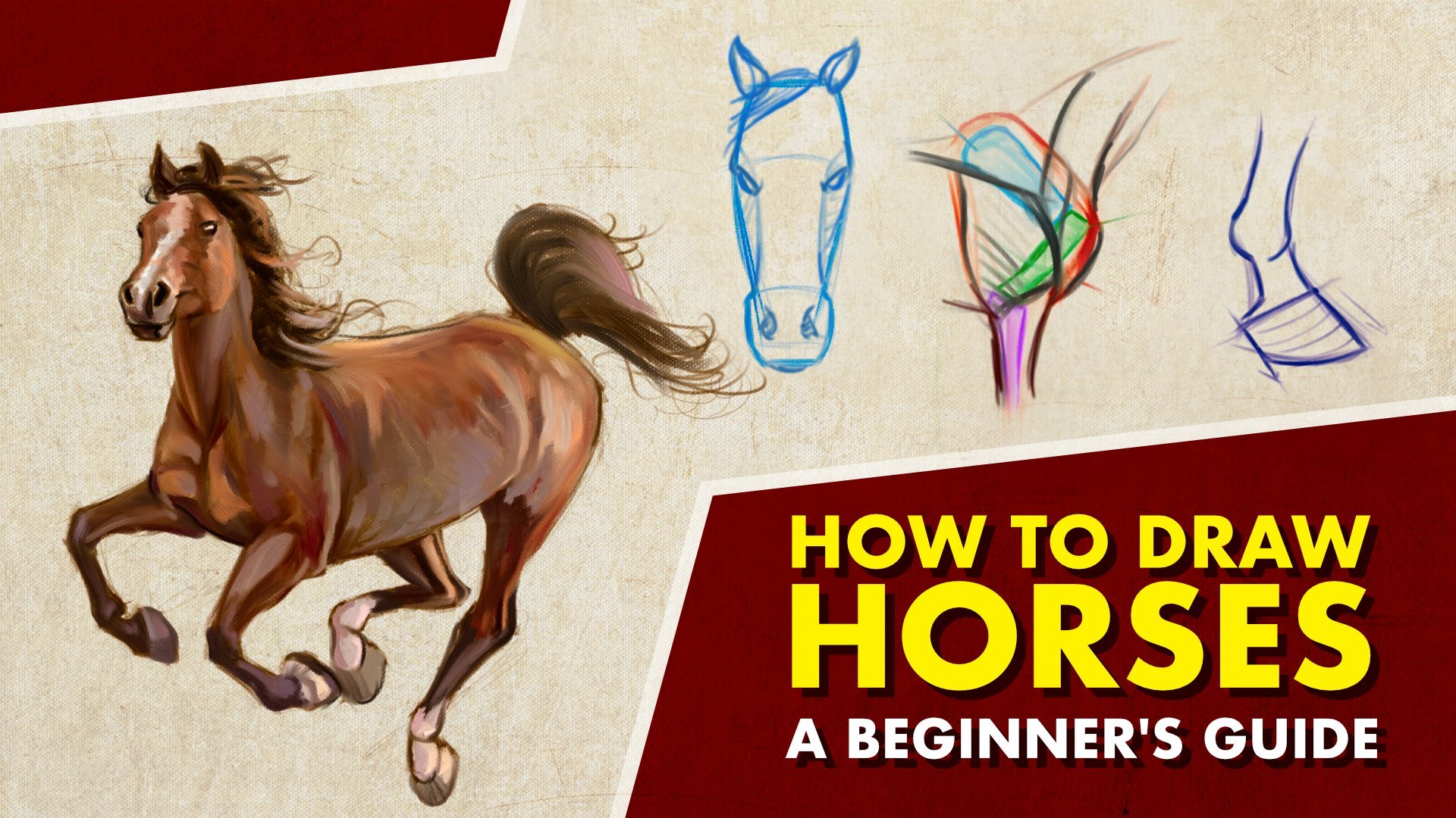 How-To-Draw-Horses  Drawing lessons, Cavalo desenho, Cavalos