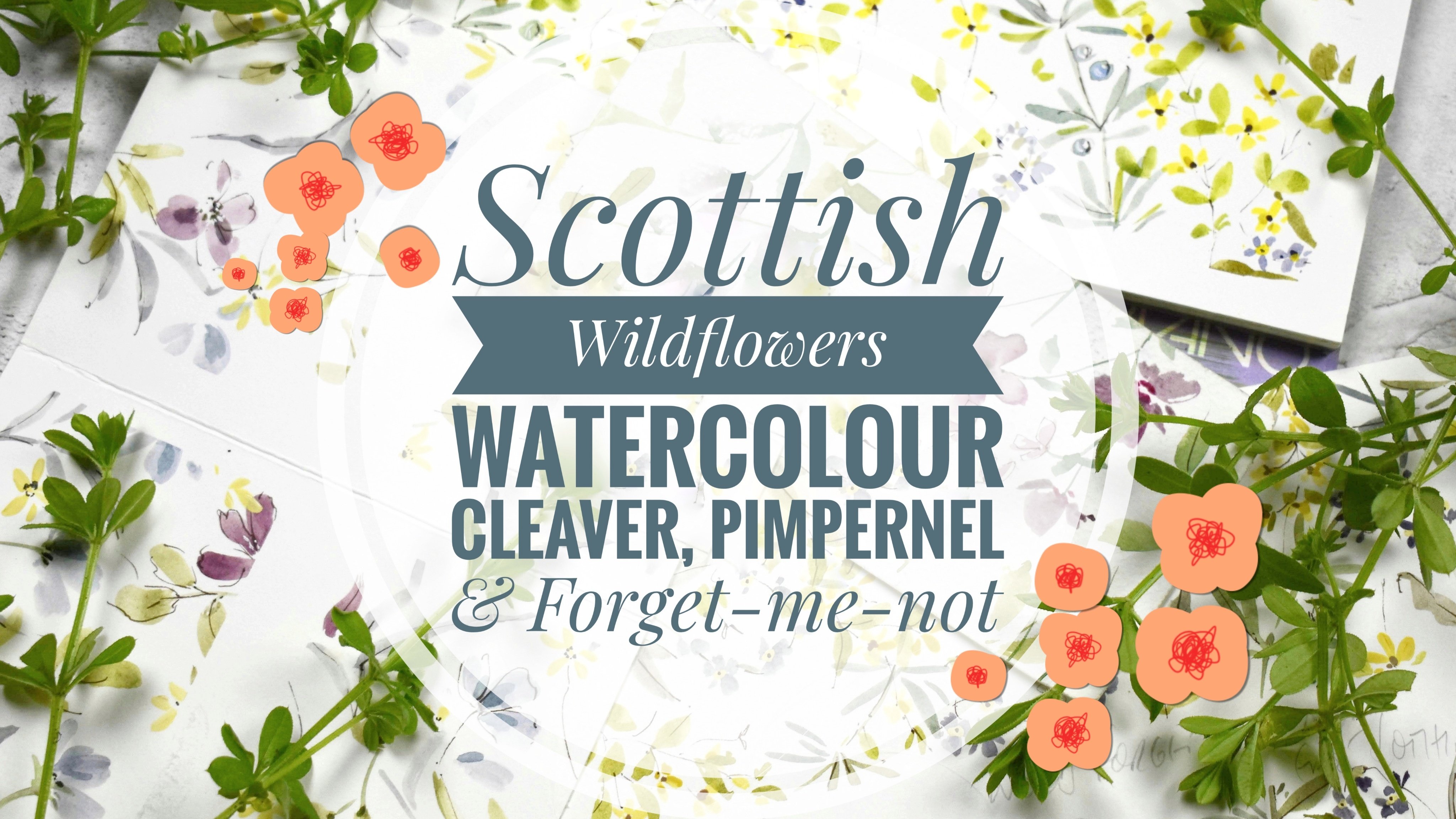 Scottish Wildflowers Watercolour Cleaver, Pimpernel &