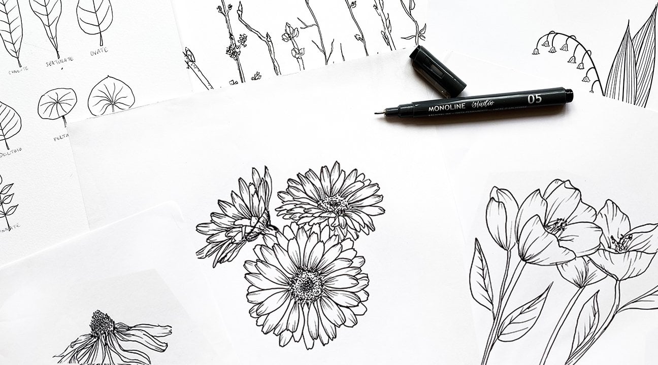 Technique Flower Drawing Art Set, Digital Lessons, Level 1