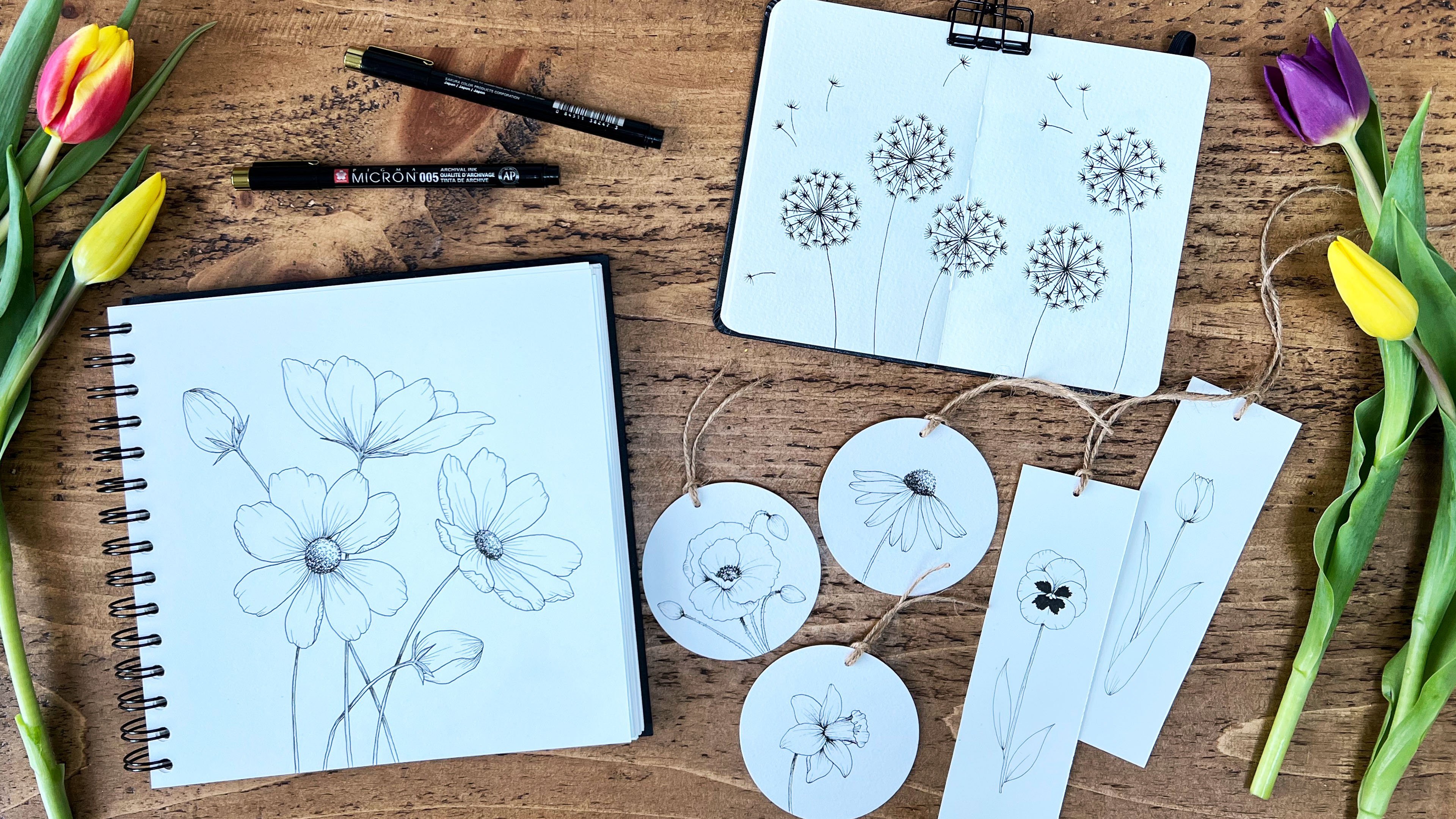 AUDIO: To Draw - English Daisies