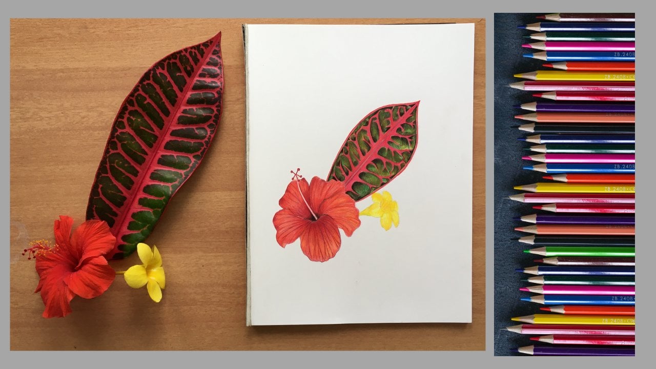 Colored Pencil Flowers - The CreativeMindClass Blog