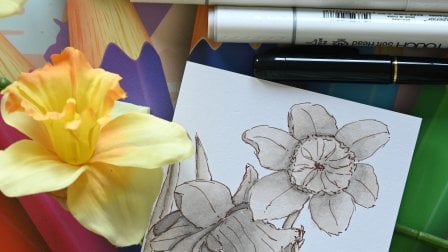 Projekt-Kurs