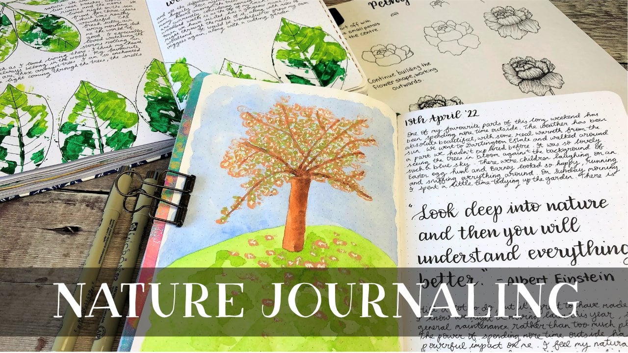 First page of my Nature Journal : r/naturejournaling