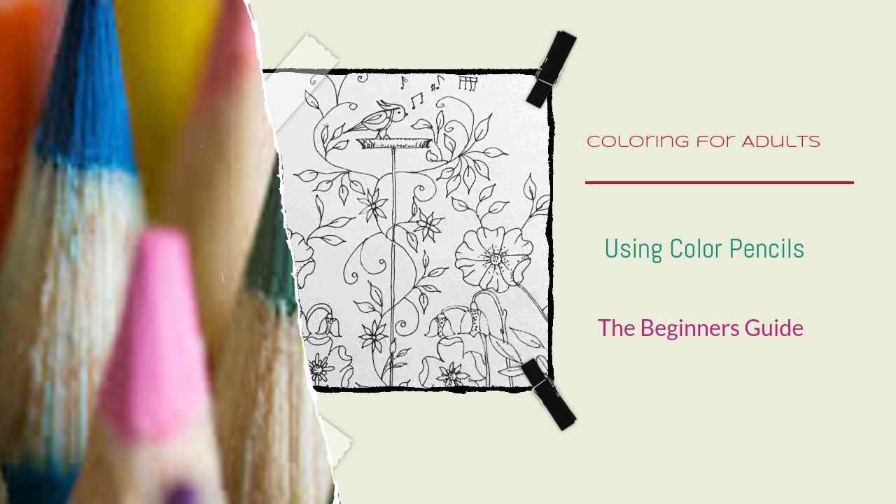 Coloring With Markers: A Beginner's Guide