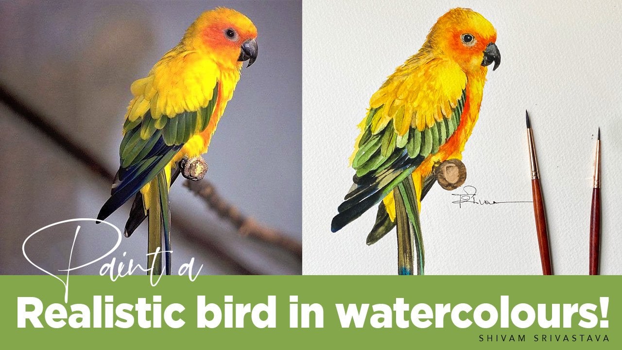 Paint a realistic bird in watercolours | Shivam Srivastava | Skillshare