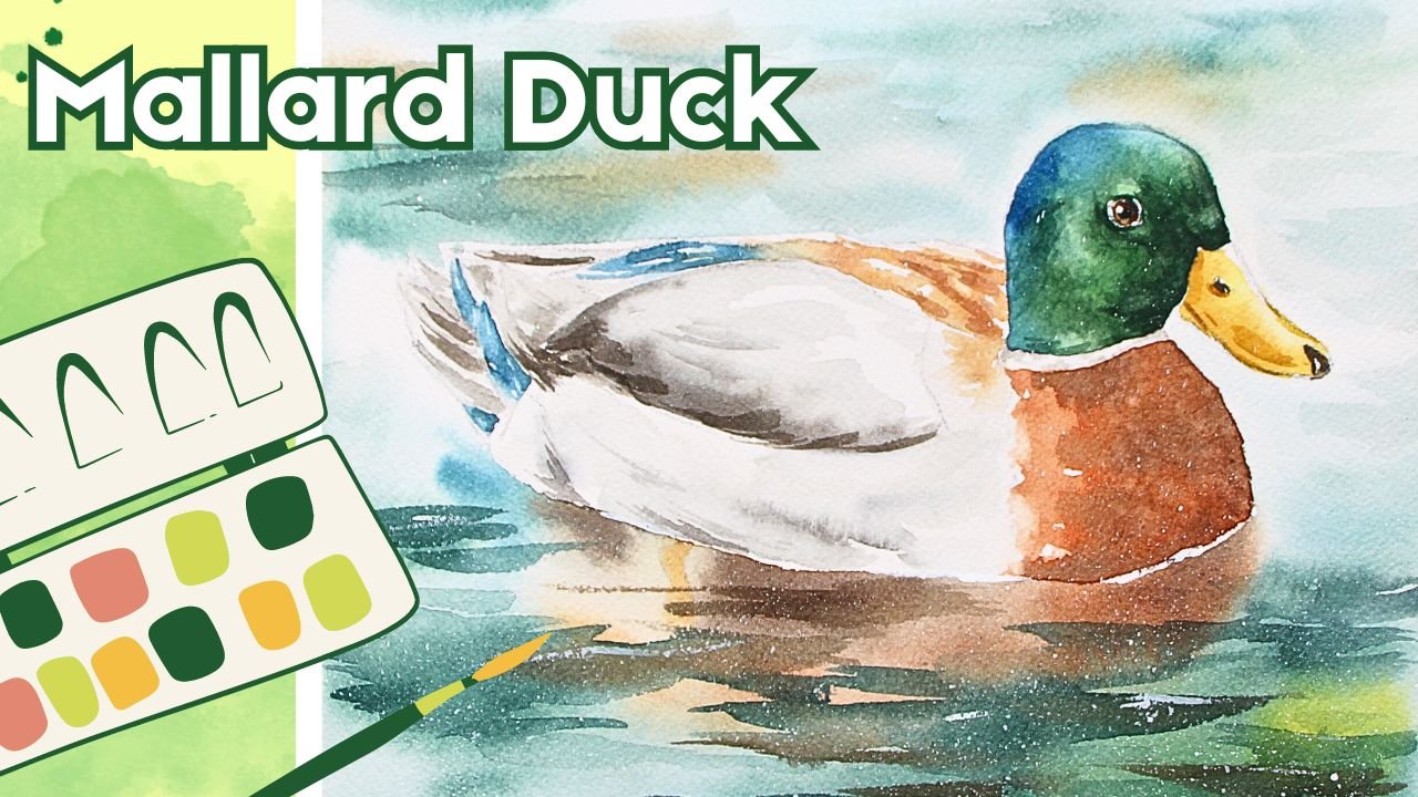 Watercolor Birds: Mallard Duck in Lake | Erika Lancaster | Skillshare