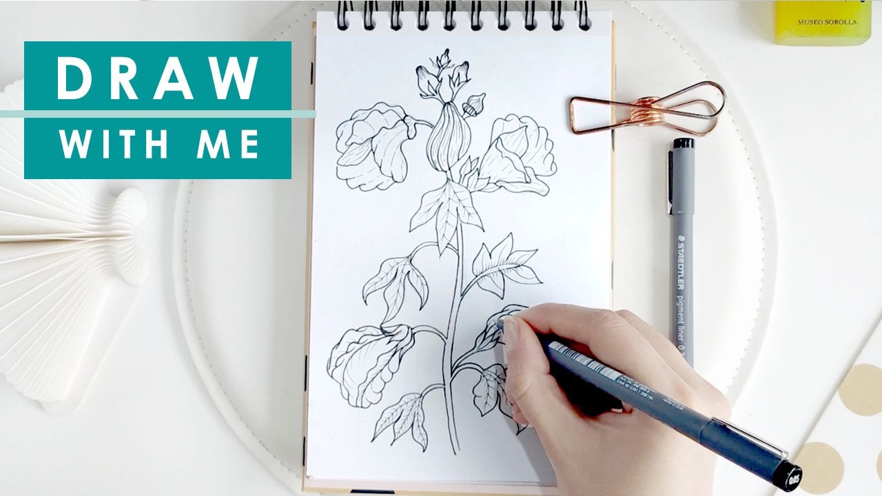 Apprendre à dessiner des fleurs : dessiner une ligne botanique Dessiner une  illustration florale, Canava