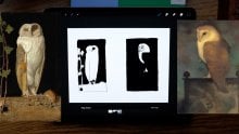 Art Composition Fundamentals: Exploring Value Contrast, Shape ...