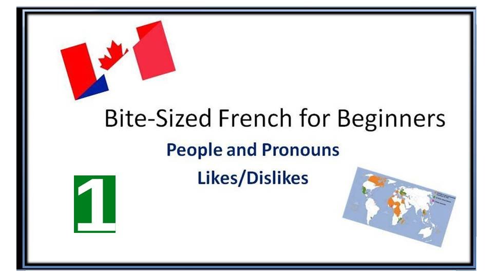 BiteSized French for Beginners People and Pronouns/ Likes and