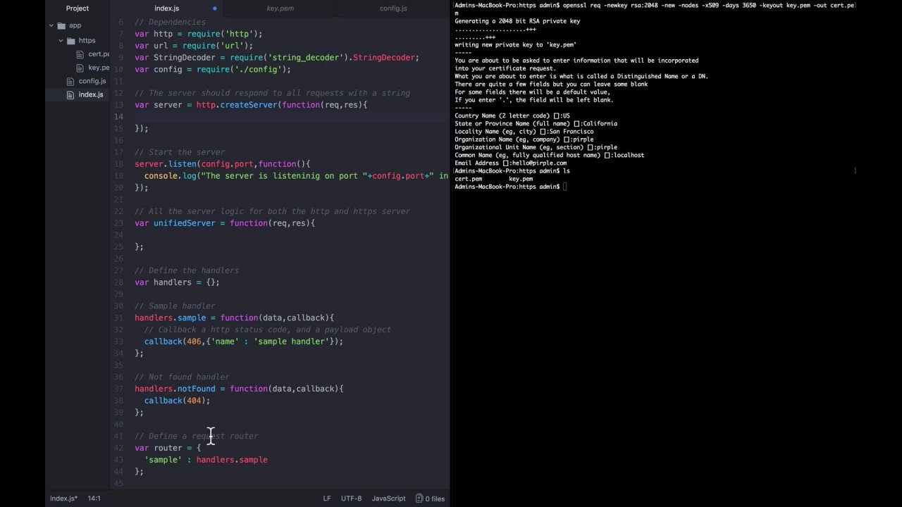The Node.js Master Class - No Frameworks, No NPM, No Dependencies | Pirple  . com | Skillshare