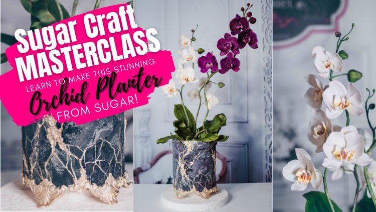 Moth Orchid Planter - Cake decorating MASTERCLASS, Elli Wahl Turquoise  Squirrel