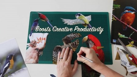 Projekt-Kurs