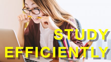 Projekt-Kurs