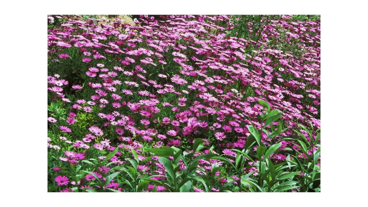 Taza Para La Familia, Taza Personalizada, Para Padres E Hijos, Para  Motociclista, Regalo Para Papá, Regalo, image size:1280x720